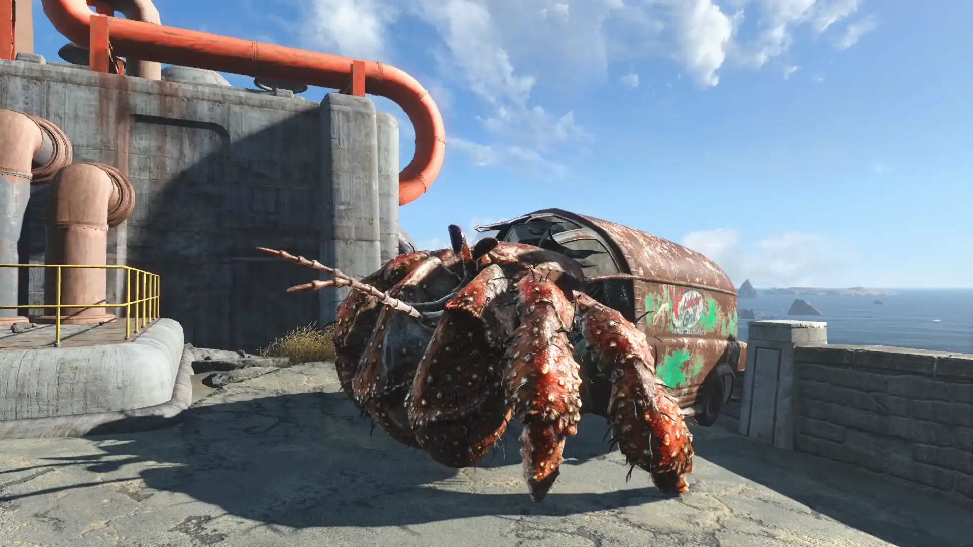 Hermit Crab