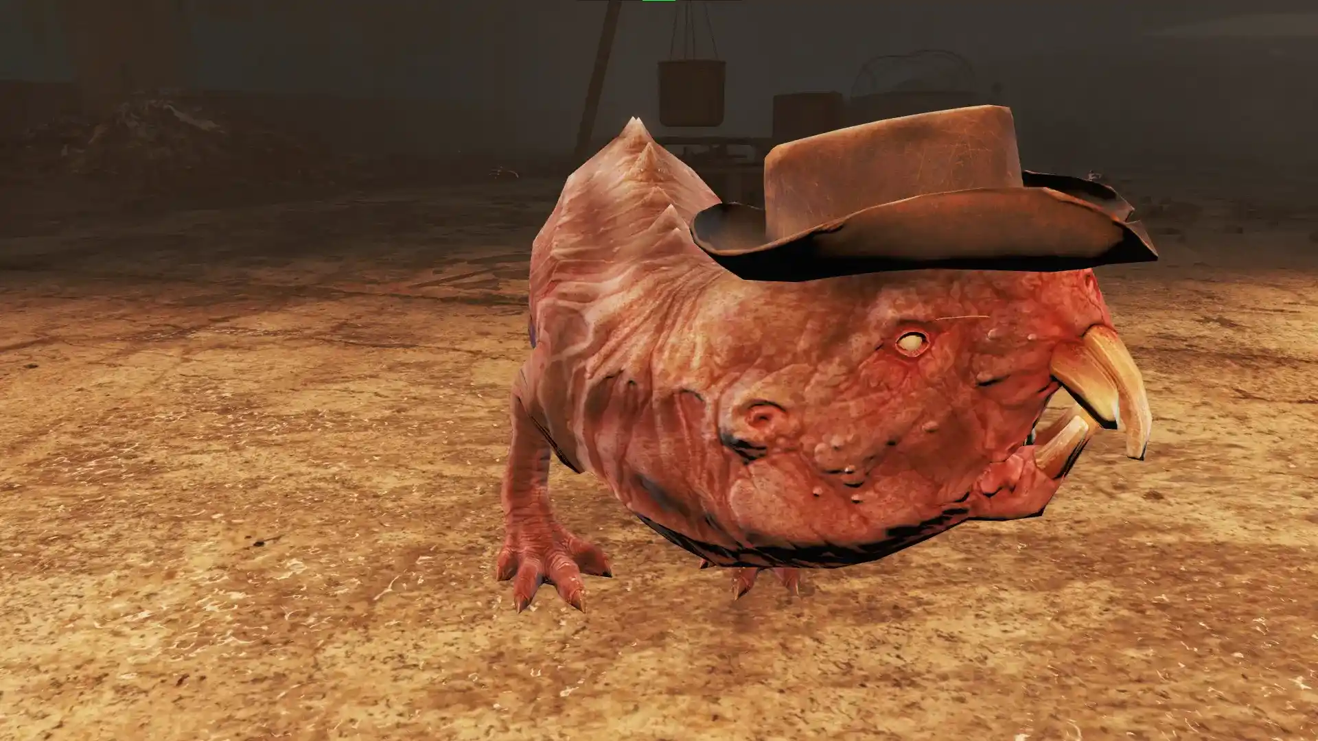 Mole Rat