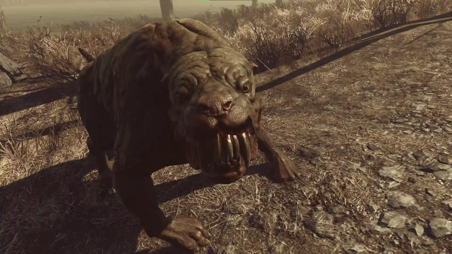 Mutant Hound