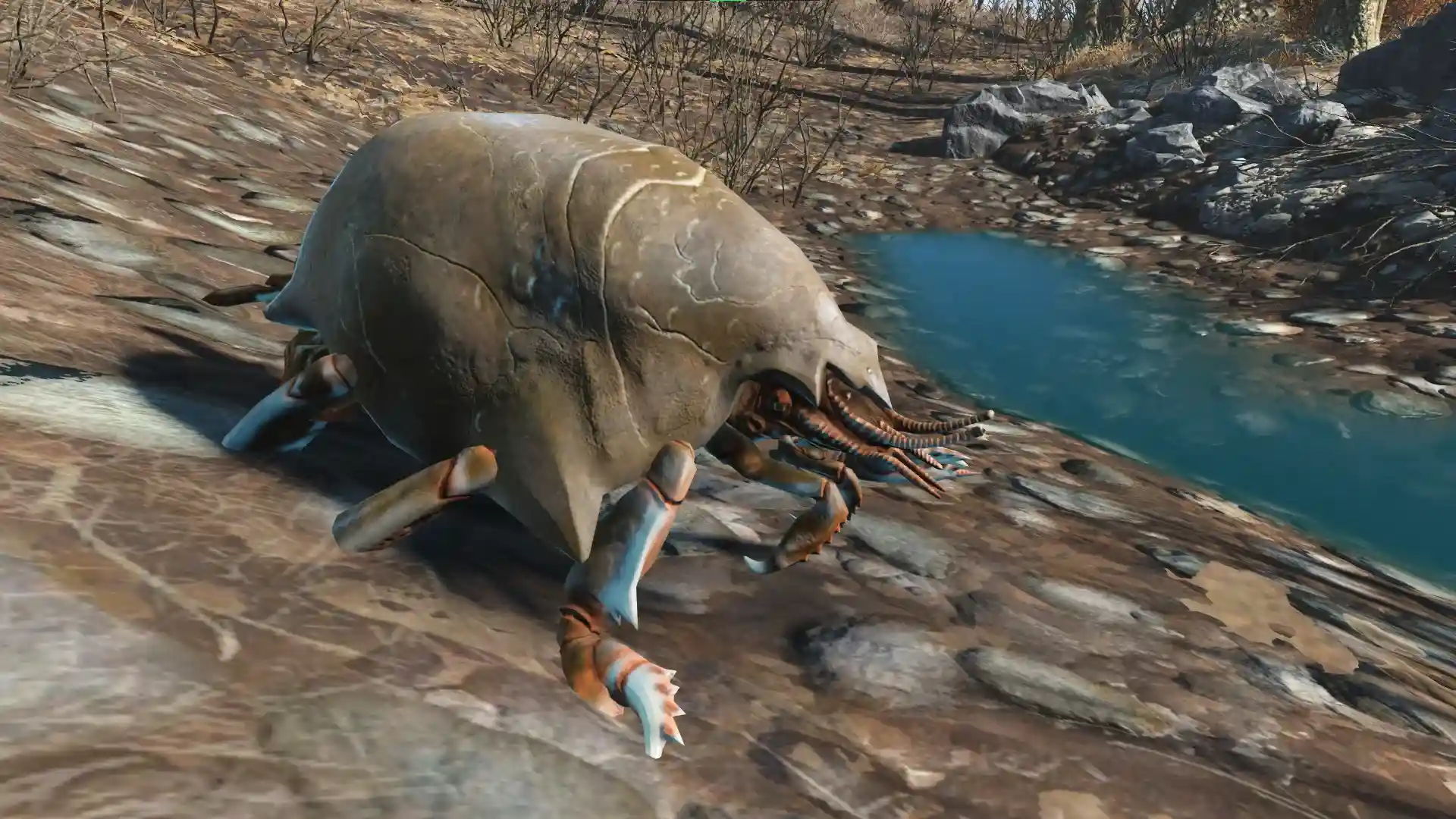 Nukalurk Spawn
