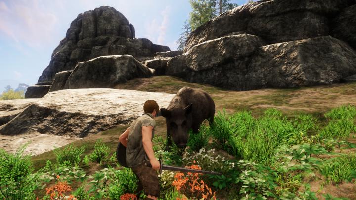 Lonely Boar